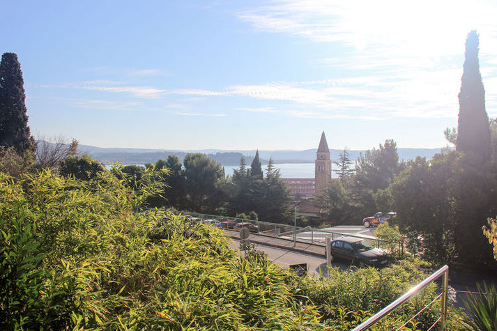 ViewSummer
