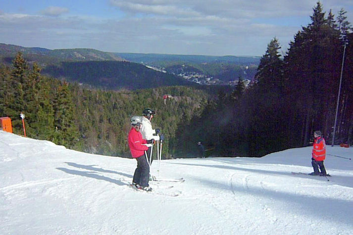 AreaWinter5KM