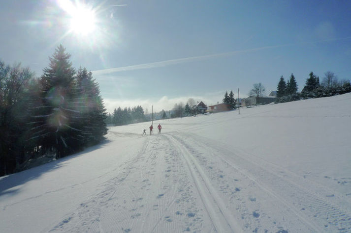 AreaWinter5KM