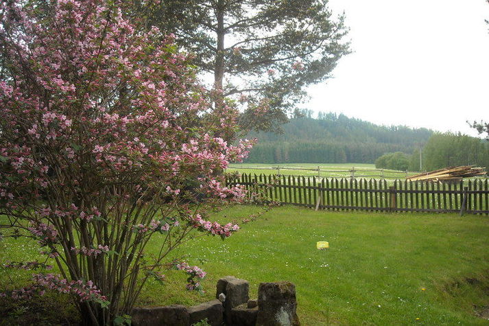GardenSummer