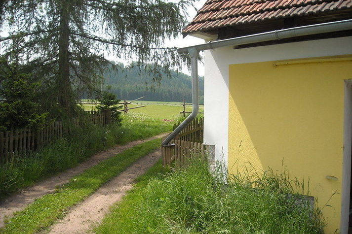 ViewSummer