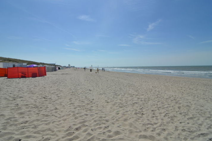 AreaSummer5KM