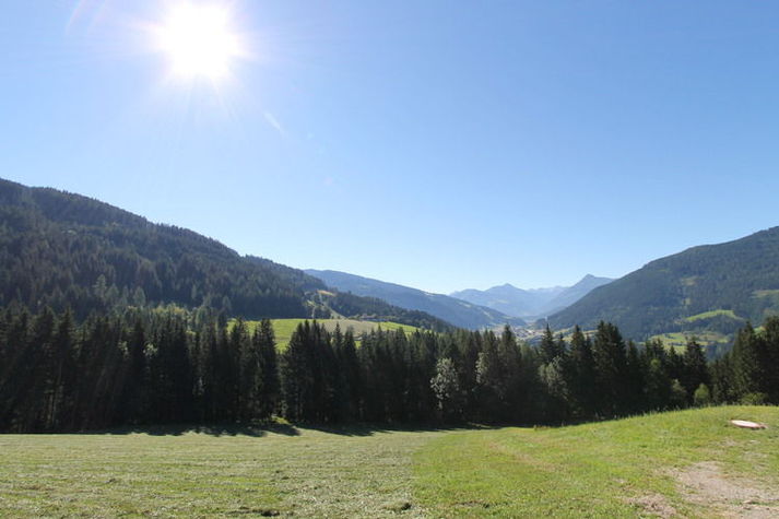 ViewSummer