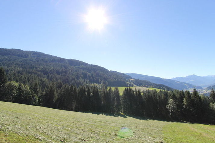 ViewSummer