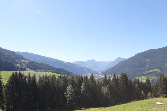 ViewSummer