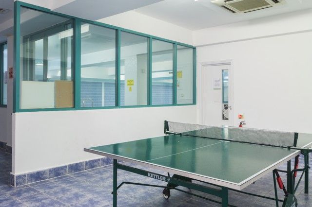 Table tennis (ball or racket not provided) 
Table tennis (ball or racket not provided) 