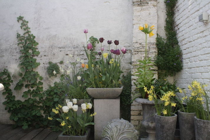 GardenSummer