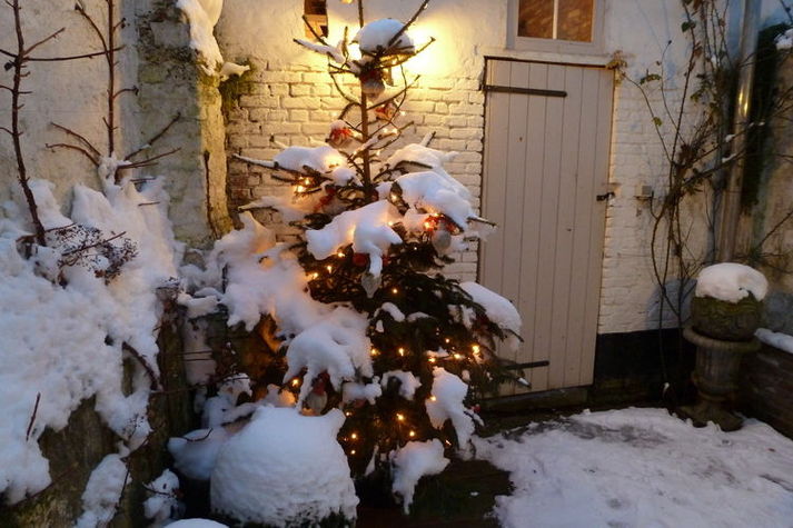 GardenWinter