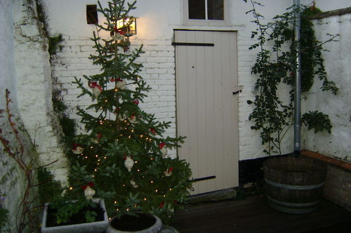 GardenWinter