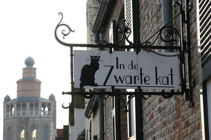AreaWinter1KM