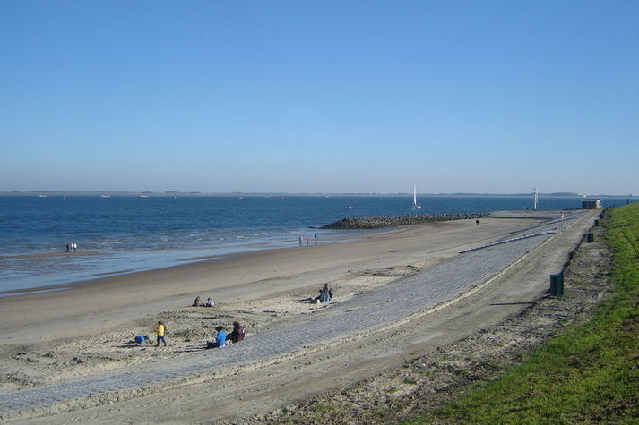 AreaSummer1KM