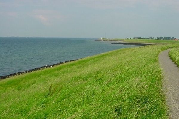 AreaSummer1KM