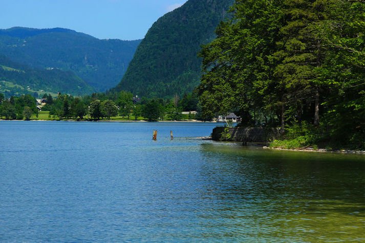AreaSummer20KM