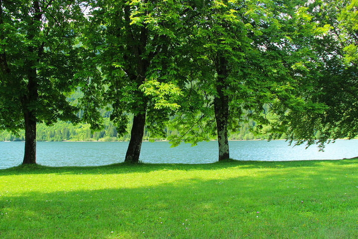 AreaSummer20KM