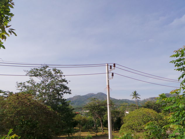 Lovely view