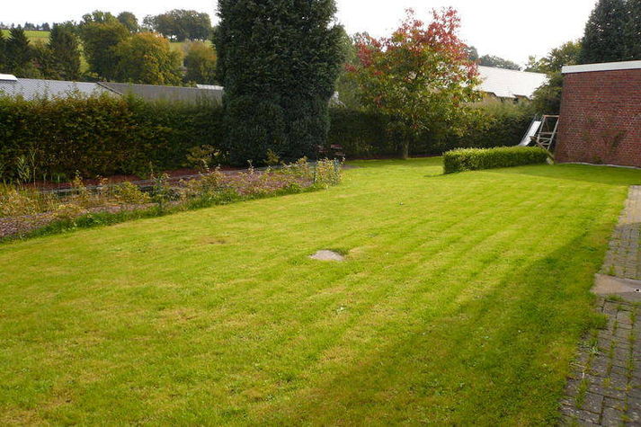 GardenSummer