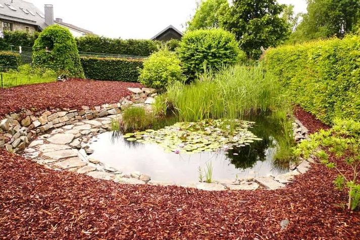 GardenSummer