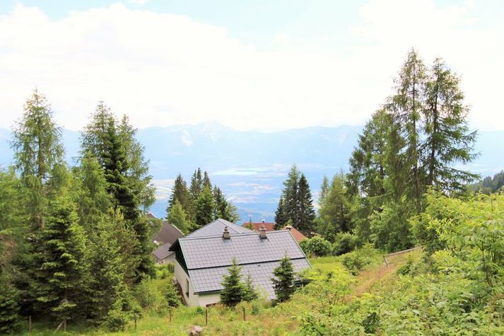ViewSummer