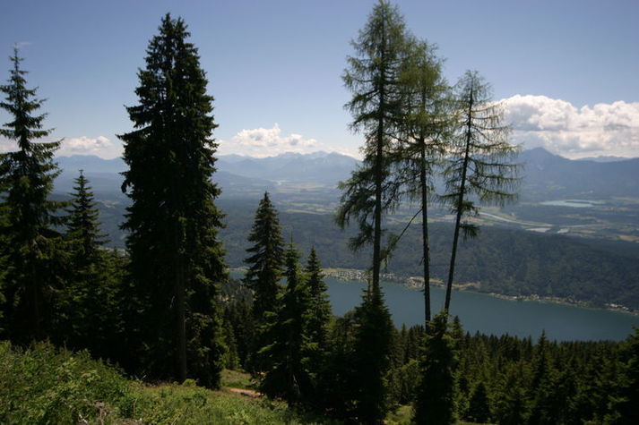 ViewSummer