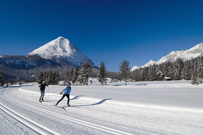 AreaWinter5KM