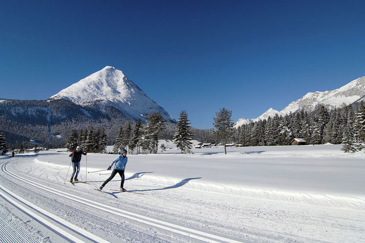 AreaWinter20KM
