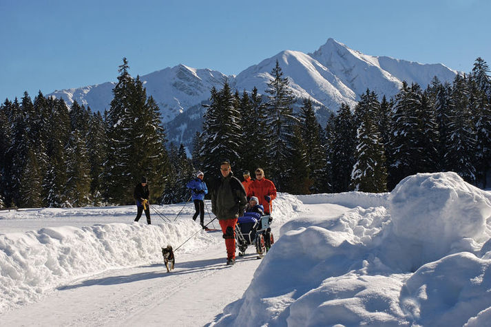 AreaWinter20KM