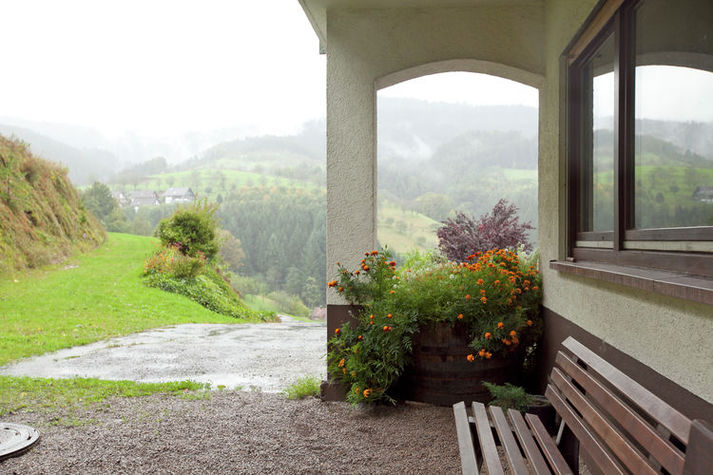 GardenSummer