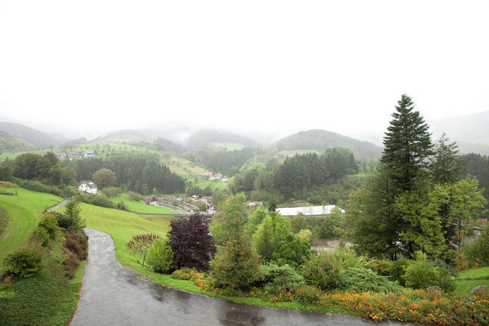 ViewSummer