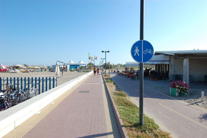 AreaSummer1KM