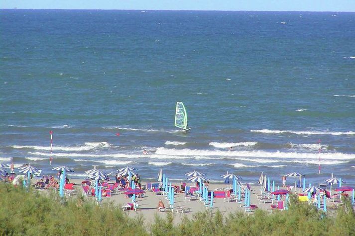AreaSummer1KM