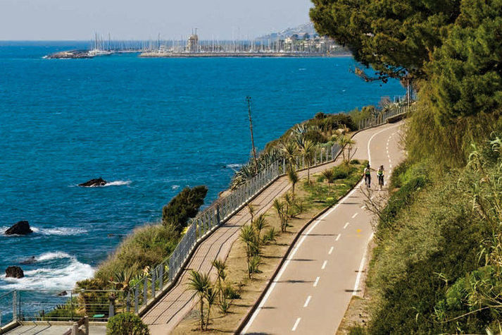 AreaSummer5KM