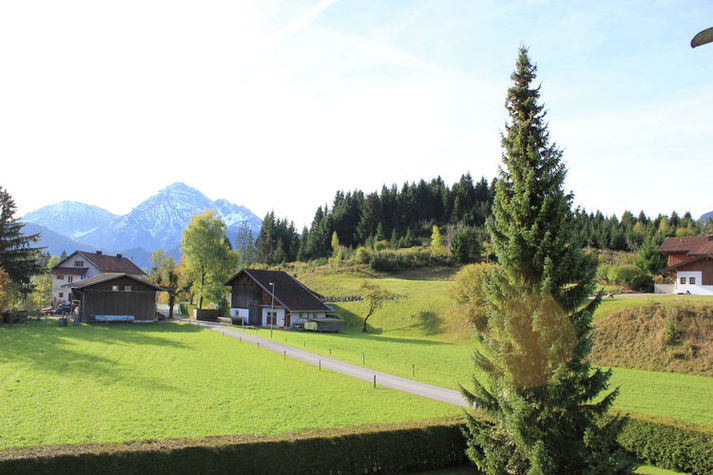 ViewSummer