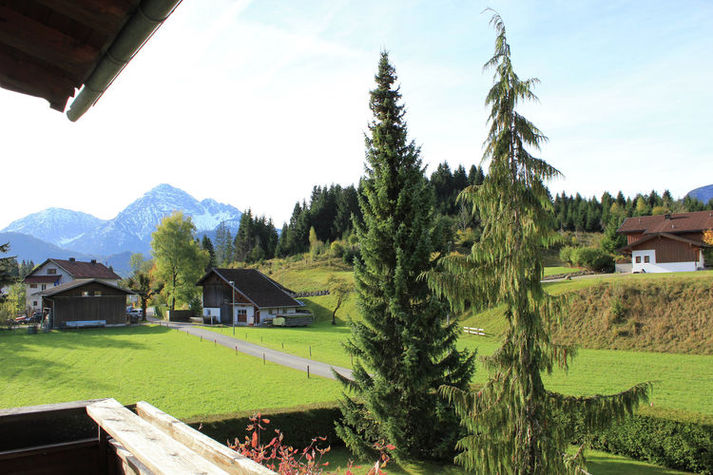ViewSummer
