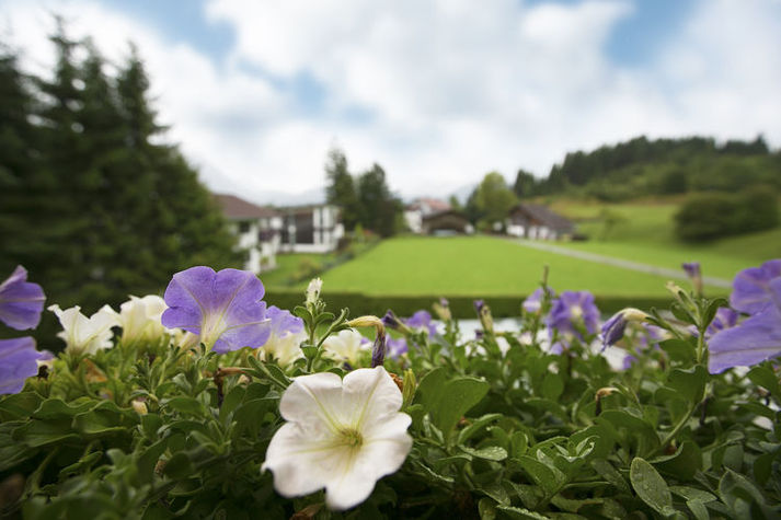 GardenSummer