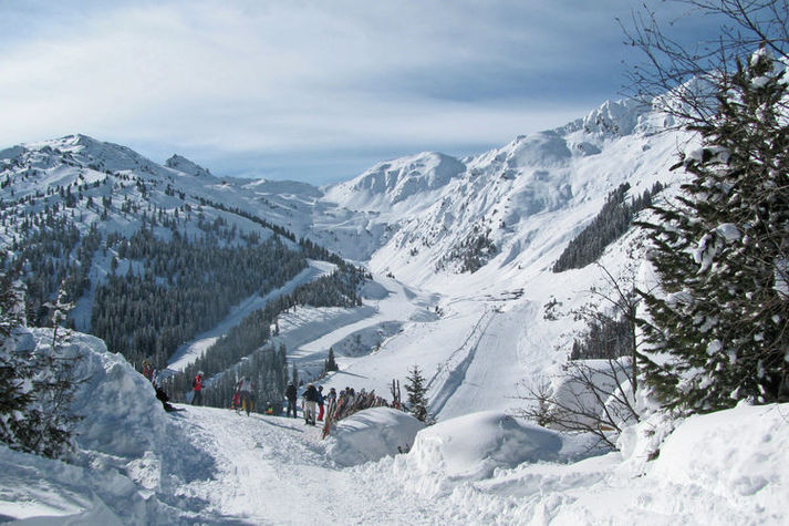 ViewWinter