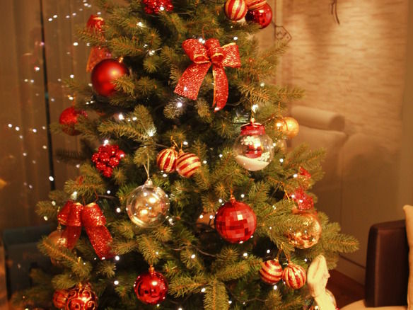 Enjoy Christmas Season in Korea Winter