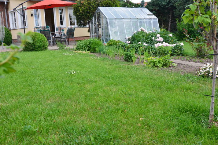 GardenSummer