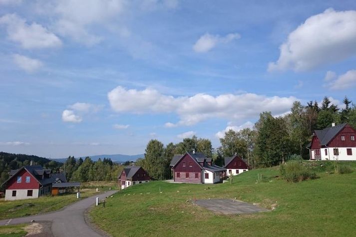 ViewSummer