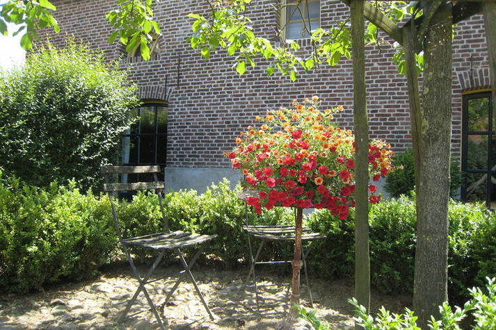 GardenSummer