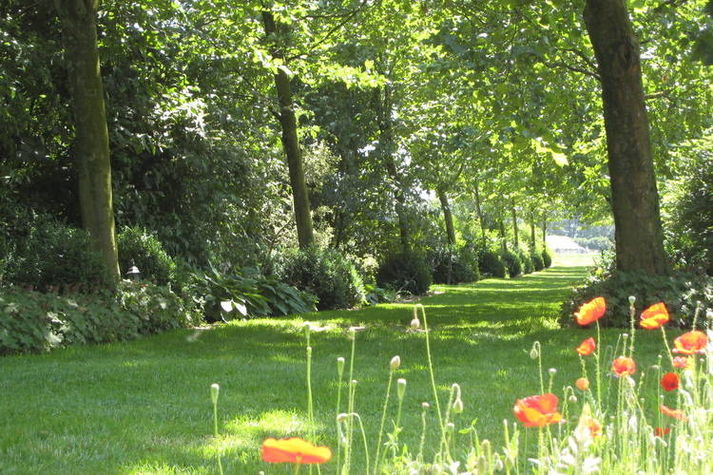 AreaSummer1KM