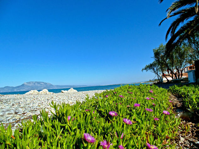 vrachati beach suite