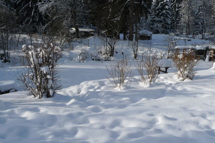 GardenWinter