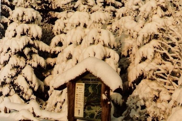 ViewWinter