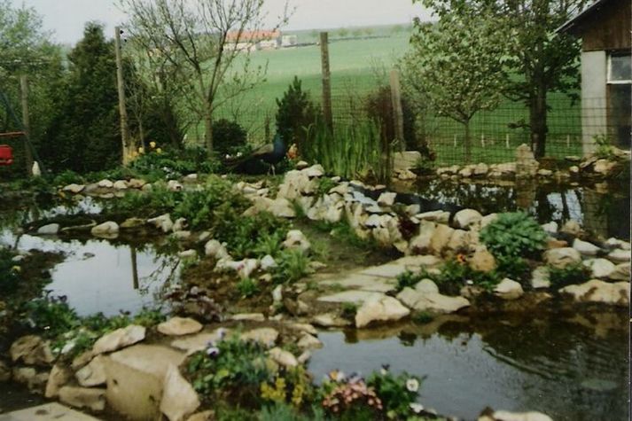 GardenSummer