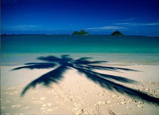 Paddle out to the islands on kayaks! Rentals available at the beach.