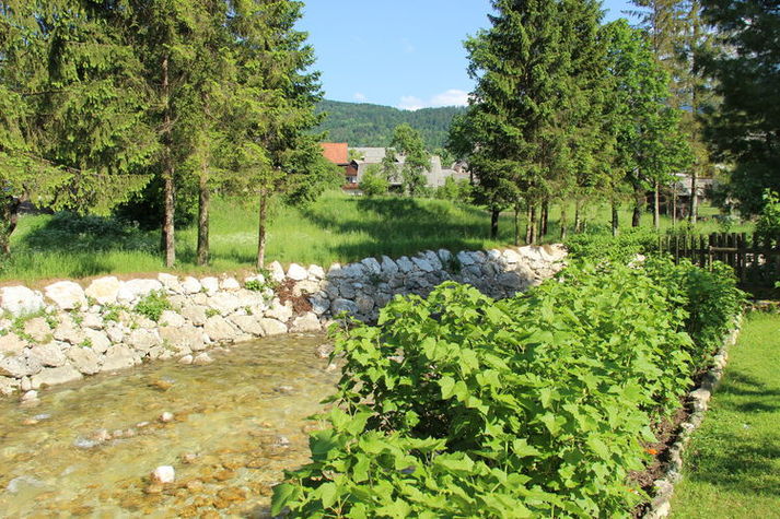 GardenSummer