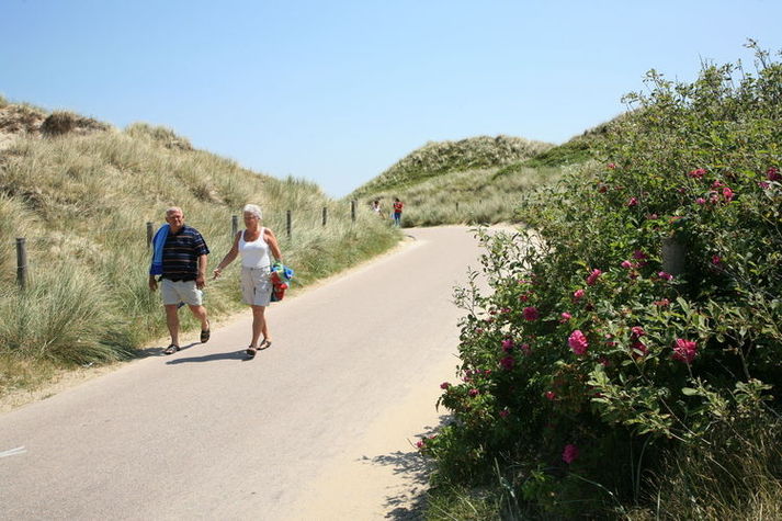 AreaSummer1KM