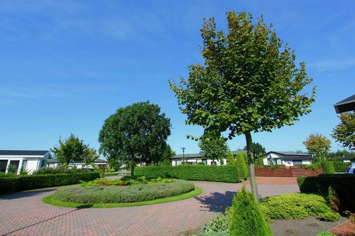AreaSummer1KM