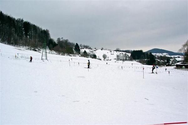 GardenWinter