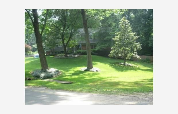 park-like yard next to woods